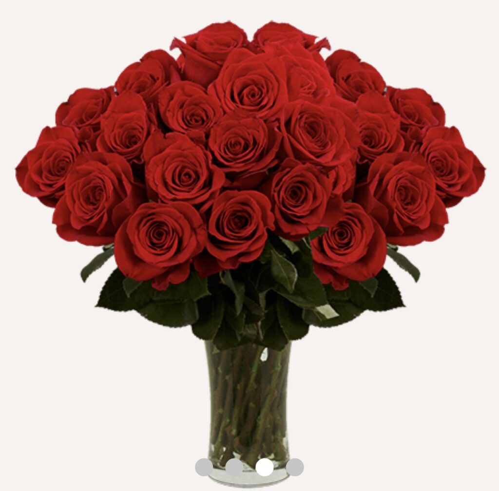 women Valentine's Day roses flowers
